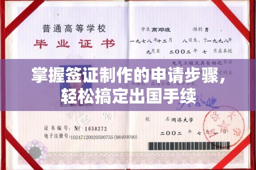 盐亭掌握签证制作的申请步骤，轻松搞定出国手续