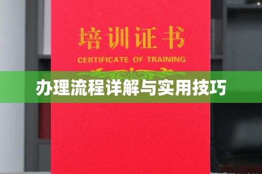 盐亭办理流程详解与实用技巧