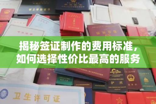 盐亭揭秘签证制作的费用标准，如何选择性价比最高的服务？