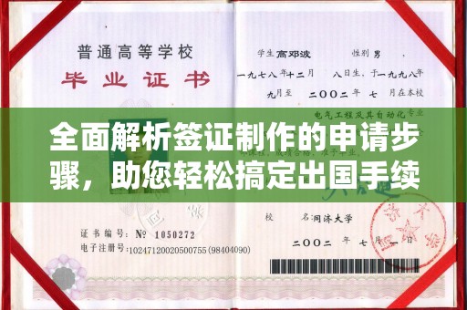盐亭全面解析签证制作的申请步骤，助您轻松搞定出国手续