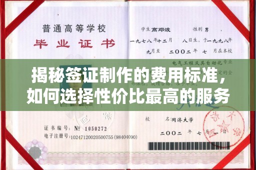 盐亭揭秘签证制作的费用标准，如何选择性价比最高的服务？