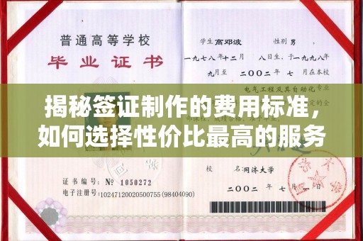 盐亭揭秘签证制作的费用标准，如何选择性价比最高的服务？