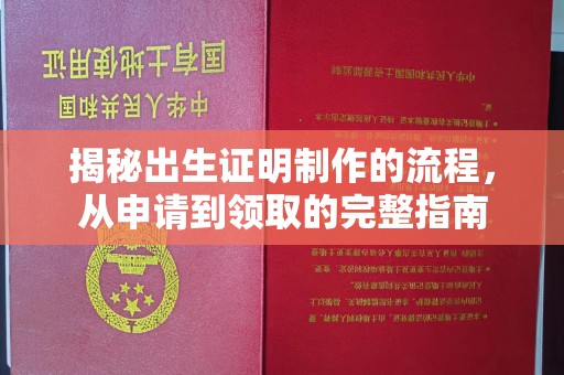 盐亭揭秘出生证明制作的流程，从申请到领取的完整指南