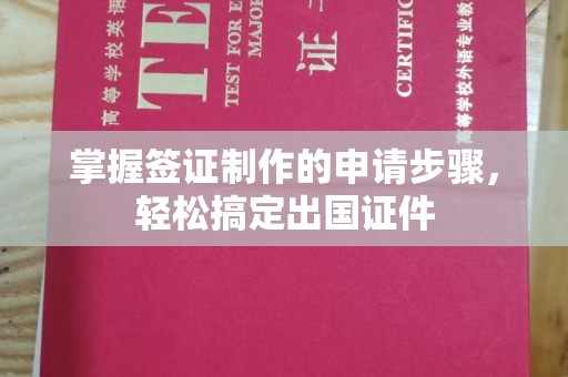 盐亭掌握签证制作的申请步骤，轻松搞定出国证件