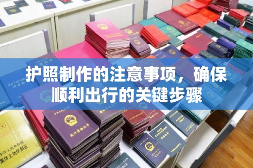 盐亭护照制作的注意事项，确保顺利出行的关键步骤