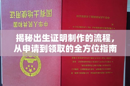 盐亭揭秘出生证明制作的流程，从申请到领取的全方位指南