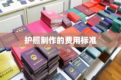 盐亭护照制作的费用标准