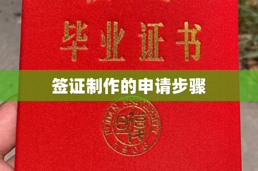 盐亭签证制作的申请步骤
