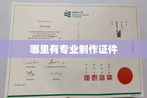 盐亭哪里有专业制作证件