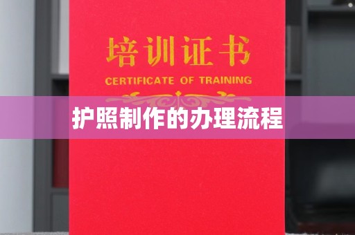 盐亭护照制作的办理流程
